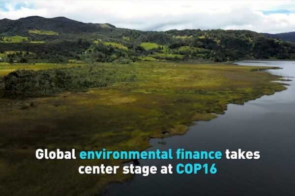 Environmental Finance Steals the Spotlight at COP16 in Colombia 🌿💰 Environmental_Finance_Steals_the_Spotlight_at_COP16_in_Colombia___ video poster