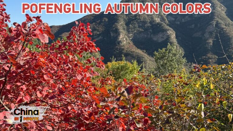 __Experience_Beijing_s_Autumn_Magic_at_Pofengling___ video poster