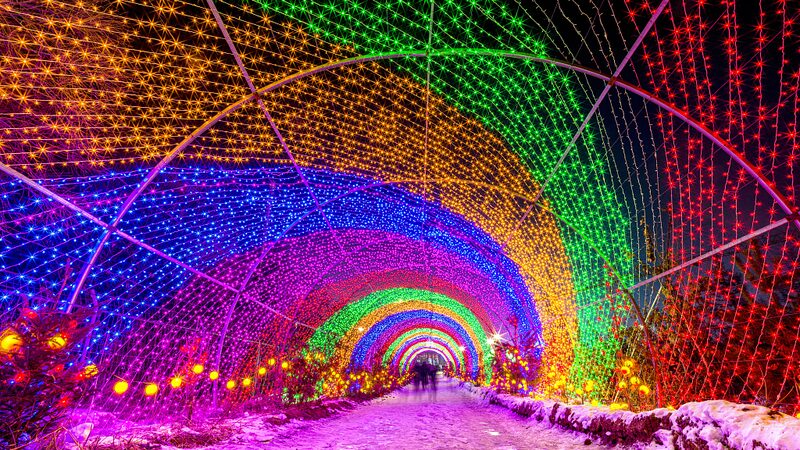 Experience_the_Magic_of_Changchun_s_Ice_and_Snow_Wonderland______poster - News for amigos, by amigos Experience_the_Magic_of_Changchun_s_Ice_and_Snow_Wonderland_____ video poster