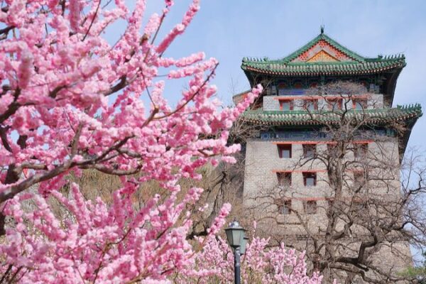 Experience the Magic of Spring 🌸: China’s Most Captivating Destinations Experience_the_Magic_of_Spring____China_s_Most_Captivating_Destinations video poster