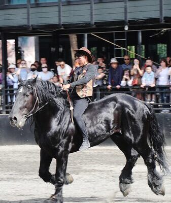 Experience the Magic of Xinjiang’s Spectacular Horse Show 🐎✨ Experience_the_Magic_of_Xinjiang_s_Spectacular_Horse_Show___ video poster