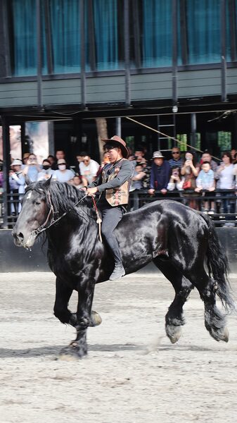 Experience_the_Magic_of_Xinjiang_s_Spectacular_Horse_Show____poster - News for amigos, by amigos Experience_the_Magic_of_Xinjiang_s_Spectacular_Horse_Show___ video poster