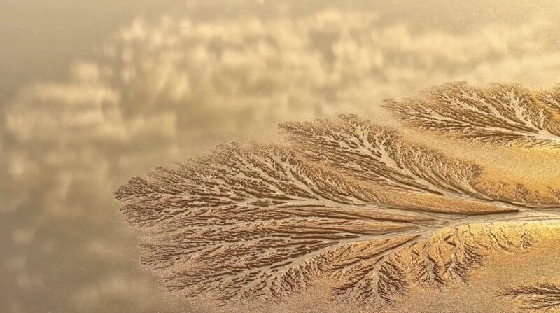 Experience_the_Stunning__Tidal_Trees__Phenomenon_in_China_s_Qiantang_River___ video poster