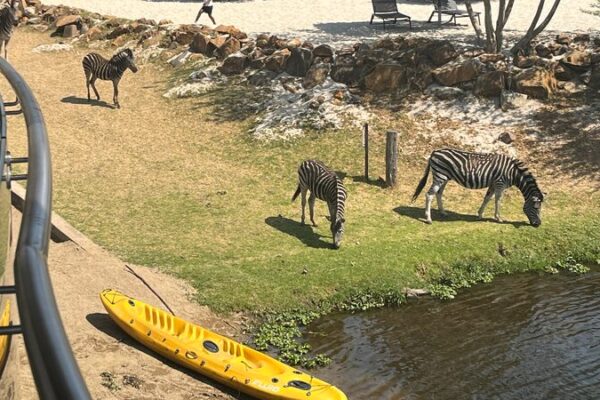 Experience the Wild Wonders of Cradle Moon Conservancy 🌿🐾 Experience_the_Wild_Wonders_of_Cradle_Moon_Conservancy___