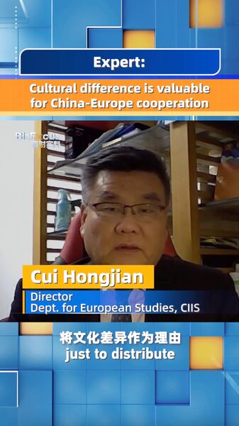 Expert_Highlights_Value_of_Cultural_Differences_in_China_Europe_Cooperation video poster