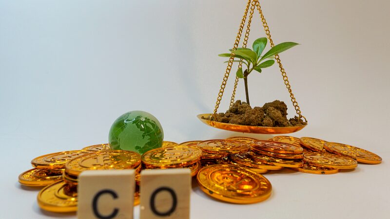Experts_Urge_Caution__Can_Carbon_Credits_Really_Offset_Illegal_Logging____ - News for amigos, by amigos Experts_Urge_Caution__Can_Carbon_Credits_Really_Offset_Illegal_Logging____