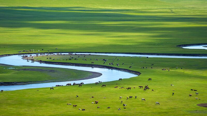 Explore_Hulun_Buir_Grassland__Inner_Mongolia_s_Green_Paradise__