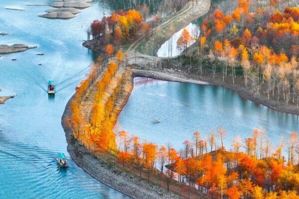 Explore Ningguo’s Vibrant Cypress Forests This Autumn 🌲🍂 Explore_Ningguo_s_Vibrant_Cypress_Forests_This_Autumn___