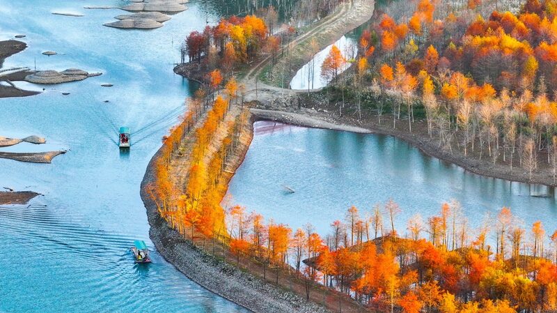 Explore_Ningguo_s_Vibrant_Cypress_Forests_This_Autumn___ - News for amigos, by amigos Explore_Ningguo_s_Vibrant_Cypress_Forests_This_Autumn___