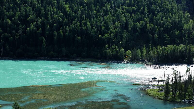 Explore_Wolong_Bay__Xinjiang_s_Hidden_Paradise___poster - News for amigos, by amigos Explore_Wolong_Bay__Xinjiang_s_Hidden_Paradise__ video poster