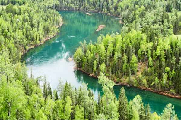 Explore Xinjiang’s Magical Kanas River Bays: Your Next Summer Adventure Awaits! Explore_Xinjiang_s_Magical_Kanas_River_Bays__Your_Next_Summer_Adventure_Awaits_