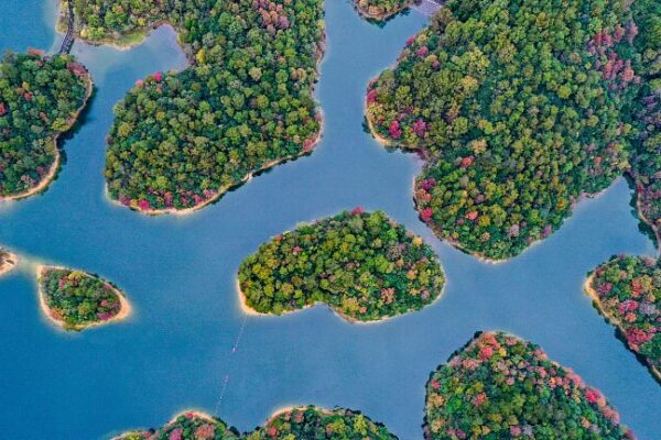 Explore Zhejiang’s Thousand Island Lake: A Wonderland of Green Islets 🌿 Explore_Zhejiang_s_Thousand_Island_Lake__A_Wonderland_of_Green_Islets__