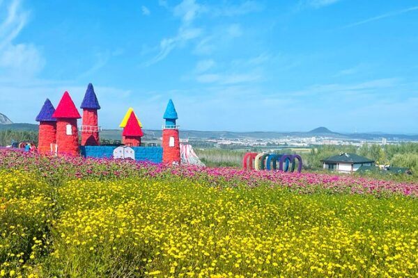 Explore the Breathtaking Floral Sea at Jilin’s Piyanshan Scenic Area 🌸 Explore_the_Breathtaking_Floral_Sea_at_Jilin_s_Piyanshan_Scenic_Area__