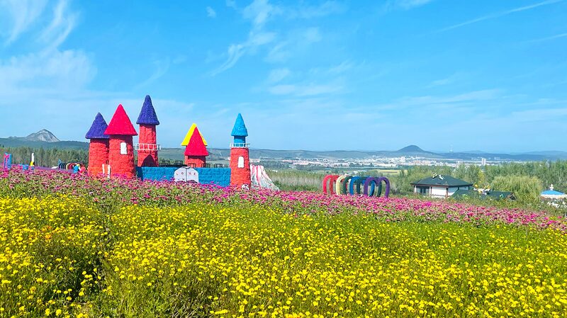 Explore_the_Breathtaking_Floral_Sea_at_Jilin_s_Piyanshan_Scenic_Area__ - News for amigos, by amigos Explore_the_Breathtaking_Floral_Sea_at_Jilin_s_Piyanshan_Scenic_Area__