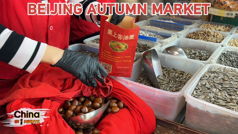 Exploring_Beijing_s_Autumn_Markets_for_World_Food_Day_poster - News for amigos, by amigos Exploring_Beijing_s_Autumn_Markets_for_World_Food_Day video poster