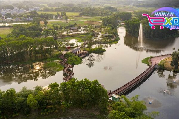 Exploring Tunchang Wenzan Ecological Wetland Park in Hainan 🌿 Exploring_Tunchang_Wenzan_Ecological_Wetland_Park_in_Hainan__ video poster