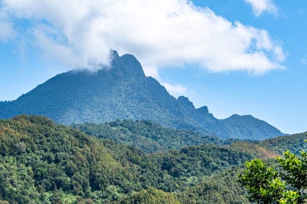 Exploring Wuzhi Mountain: Hainan’s Majestic Five Finger Peak 🌄 Exploring_Wuzhi_Mountain__Hainan_s_Majestic_Five_Finger_Peak__ video poster