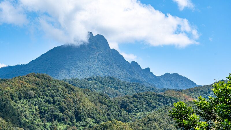 Exploring_Wuzhi_Mountain__Hainan_s_Majestic_Five_Finger_Peak__ video poster