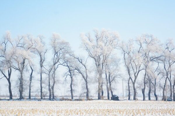 Exploring Xiaohan: Embracing the Minor Cold Solar Term’s Traditions ⛄️ Exploring_Xiaohan__Embracing_the_Minor_Cold_Solar_Term_s_Traditions___