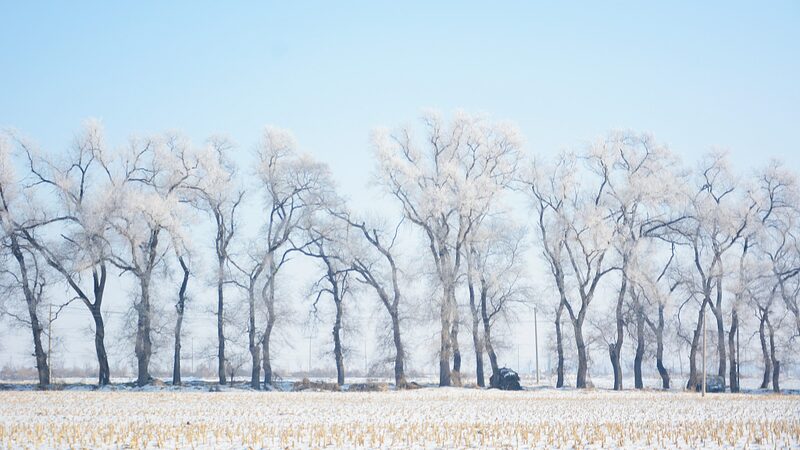 Exploring_Xiaohan__Embracing_the_Minor_Cold_Solar_Term_s_Traditions___ - News for amigos, by amigos Exploring_Xiaohan__Embracing_the_Minor_Cold_Solar_Term_s_Traditions___