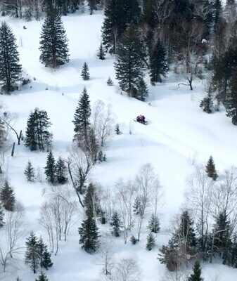 Exploring the Magic of Changbai Mountain: From Birch Forests to Tianchi Lake Exploring_the_Magic_of_Changbai_Mountain__From_Birch_Forests_to_Tianchi_Lake video poster