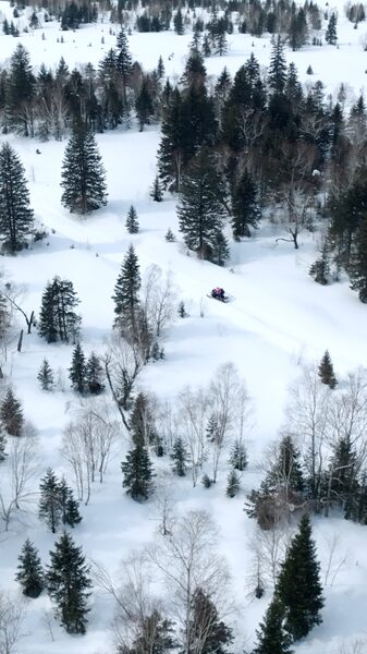Exploring_the_Magic_of_Changbai_Mountain__From_Birch_Forests_to_Tianchi_Lake_poster - News for amigos, by amigos Exploring_the_Magic_of_Changbai_Mountain__From_Birch_Forests_to_Tianchi_Lake video poster
