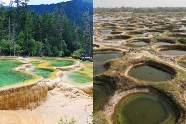 Exploring the UNESCO Wonders: Saloum Delta & Jiuzhaigou Valley 🌍✨ Exploring_the_UNESCO_Wonders__Saloum_Delta___Jiuzhaigou_Valley___