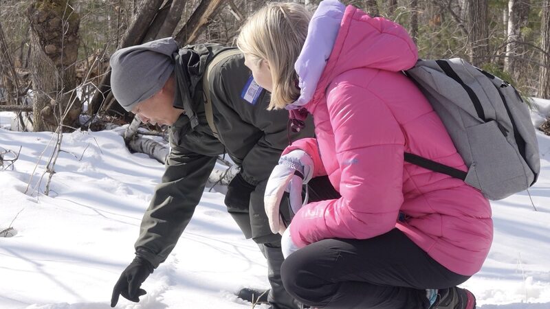 Exploring_the_Wild_Wonders_of_Changbai_Mountain___ video poster