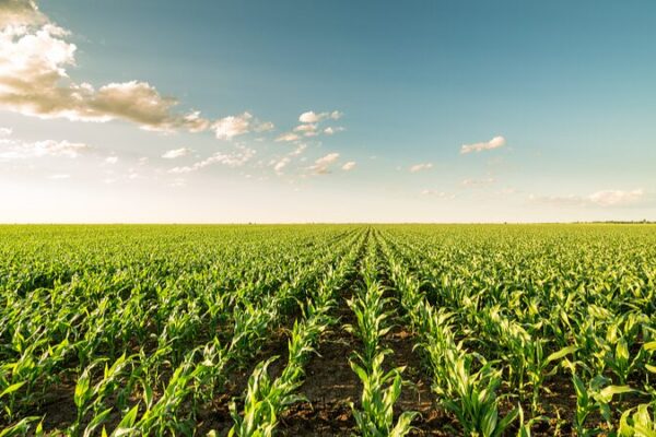 🌧️ Extreme Weather Ahead: NZ Farming Faces Stormy Decade, Experts Warn ___Extreme_Weather_Ahead__NZ_Farming_Faces_Stormy_Decade__Experts_Warn