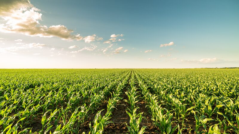 Extreme_Weather_Ahead__NZ_Farming_Faces_Stormy_Decade__Experts_Warn - News for amigos, by amigos ___Extreme_Weather_Ahead__NZ_Farming_Faces_Stormy_Decade__Experts_Warn