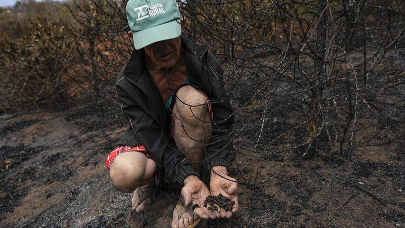 Extreme_Weather_Brewing_Trouble__Coffee_Prices_on_the_Rise_____ - News for amigos, by amigos Extreme_Weather_Brewing_Trouble__Coffee_Prices_on_the_Rise_____