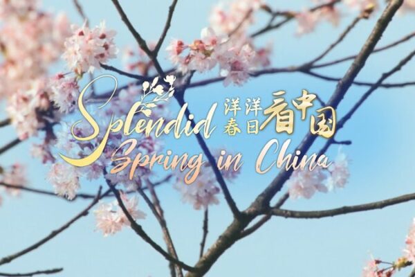 Fanjingshan: China’s Mystical Mountain of Clouds and Light Fanjingshan__China_s_Mystical_Mountain_of_Clouds_and_Light video poster