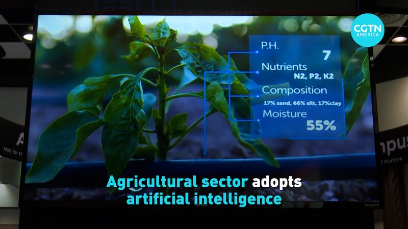 Farming_Gets_a_Tech_Boost__AI_Takes_Root_in_Agriculture____poster - News for amigos, by amigos Farming_Gets_a_Tech_Boost__AI_Takes_Root_in_Agriculture___ video poster