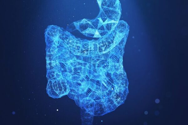 Fat-loving Gut Microbes Boost Cancer Growth, Chinese Study Reveals Fat_loving_Gut_Microbes_Boost_Cancer_Growth__Chinese_Study_Reveals
