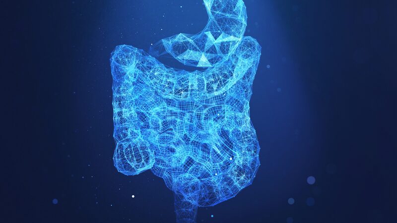 Fat_loving_Gut_Microbes_Boost_Cancer_Growth__Chinese_Study_Reveals