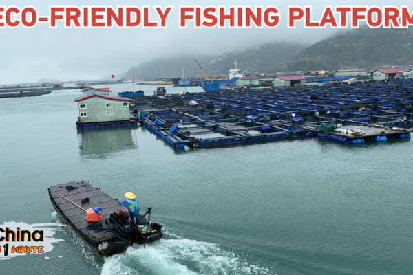 Feeding Fish and Going Green: Inside Ningde’s Eco-Aquaculture 🐠 Feeding_Fish_and_Going_Green__Inside_Ningde_s_Eco_Aquaculture__ video poster