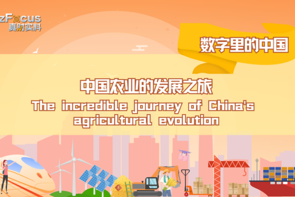 Feeding the Future: China’s 75-Year Agricultural Evolution 🌱 Feeding_the_Future__China_s_75_Year_Agricultural_Evolution__ video poster