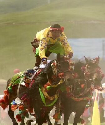 Feel the Rush at Yushu’s Epic Horse and Yak Racing Festival! Feel_the_Rush_at_Yushu_s_Epic_Horse_and_Yak_Racing_Festival_ video poster