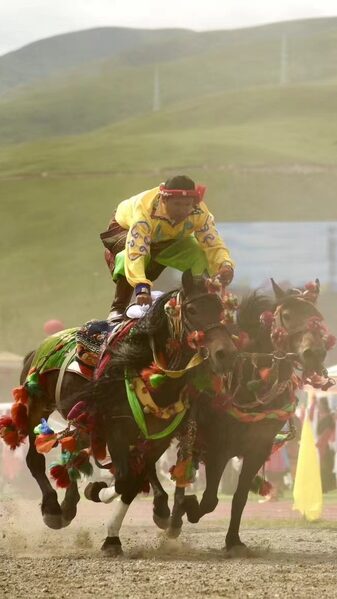 Feel_the_Rush_at_Yushu_s_Epic_Horse_and_Yak_Racing_Festival__poster - News for amigos, by amigos Feel_the_Rush_at_Yushu_s_Epic_Horse_and_Yak_Racing_Festival_ video poster