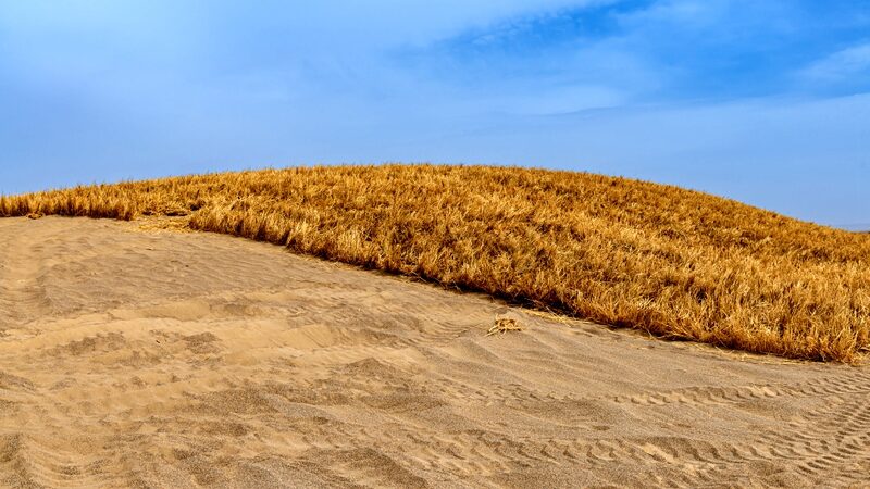 Fighting_Deserts_with_Grass_Grids__China_s_Green_Revolution_Along_Jinhe_Highway - News for amigos, by amigos __Fighting_Deserts_with_Grass_Grids__China_s_Green_Revolution_Along_Jinhe_Highway