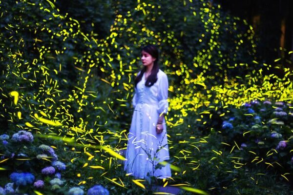 Firefly Wonderland: Tiantai Mountain’s Enchanting Night Lights ✨ Firefly_Wonderland__Tiantai_Mountain_s_Enchanting_Night_Lights__