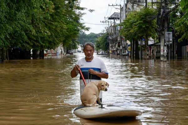 Flash Floods in Chiang Mai Kill Three and Two Elephants Flash_Floods_in_Chiang_Mai_Kill_Three_and_Two_Elephants