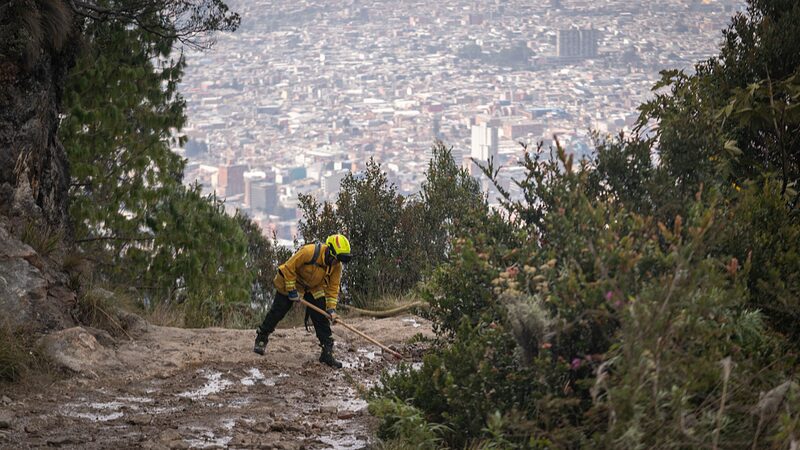 Foreign_Plants_Fueling_Bogota_s_Blazing_Fires___ - News for amigos, by amigos Foreign_Plants_Fueling_Bogota_s_Blazing_Fires___