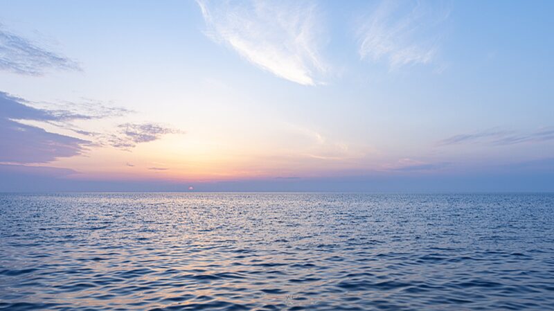 Fossil_Fuels_vs__Coral_Triangle__The_Battle_for_the__Amazon_of_the_Seas____ - News for amigos, by amigos ___Fossil_Fuels_vs__Coral_Triangle__The_Battle_for_the__Amazon_of_the_Seas____