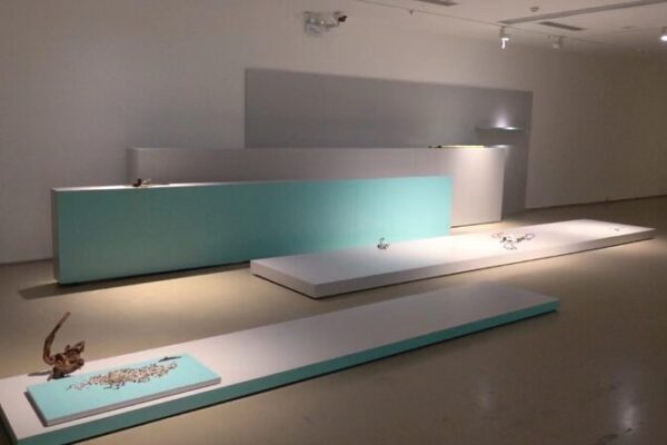 French Artist Isabelle Cornaro Transforms Ming Scroll into 3D Art in Beijing 🎨 French_Artist_Isabelle_Cornaro_Transforms_Ming_Scroll_into_3D_Art_in_Beijing__