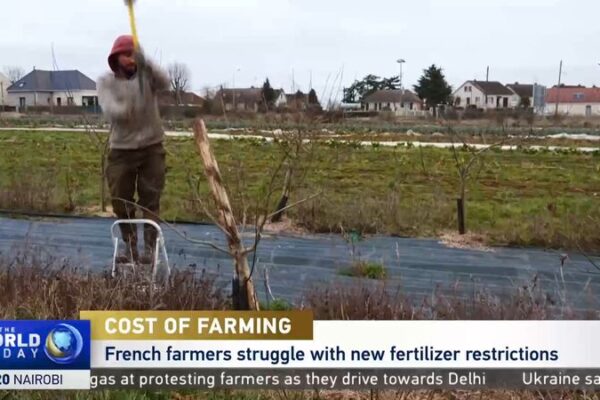 French Farmers Furious Over EU’s Green Policy Rollback 🌿🚜 French_Farmers_Furious_Over_EU_s_Green_Policy_Rollback___ video poster