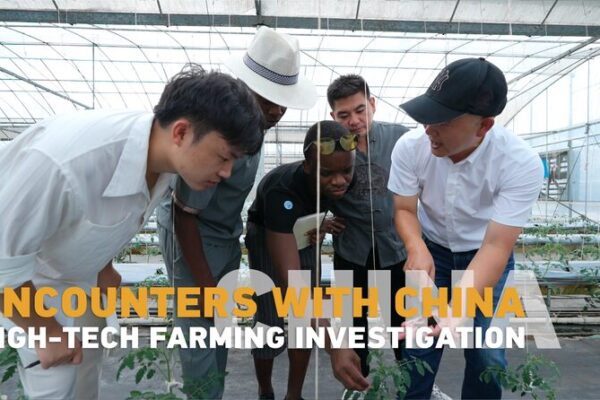 From_Africa_to_Zhejiang__Discovering_China_s_High_Tech_Farms____poster - News for amigos, by amigos From_Africa_to_Zhejiang__Discovering_China_s_High_Tech_Farms___ video poster