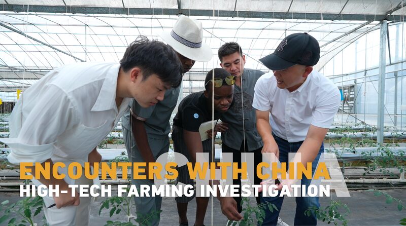 From_Africa_to_Zhejiang__Discovering_China_s_High_Tech_Farms___ video poster