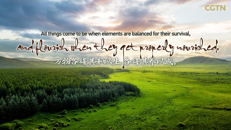 From_Ancient_Wisdom_to_Green_Miracles__China_s_Commitment_to_Eco_Friendly_Growth_poster - News for amigos, by amigos From_Ancient_Wisdom_to_Green_Miracles__China_s_Commitment_to_Eco_Friendly_Growth video poster