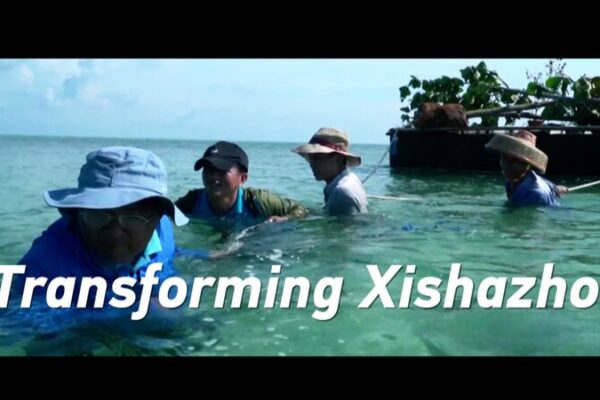 From Barren to Green: Xishazhou’s Incredible Transformation 🌿 From_Barren_to_Green__Xishazhou_s_Incredible_Transformation__ video poster
